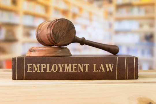 Wooden gavel resting on a book titled "Employment Law" symbolizing legal compliance, representing Pakistani Labor Law Compliant HR Software ensuring lawful HR and payroll management.